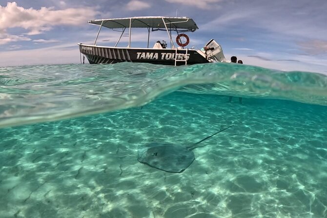 Private Lagoon Exploration and Snorkeling in Moorea - Timing, meeting point, and what to bring