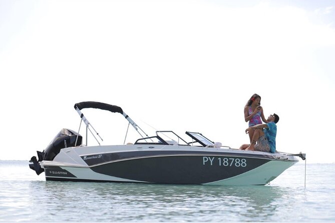 Private lagoon tour (rays, sharks, turtles) by boat in Moorea - Turtles, dolphins, and seasonal humpback whales