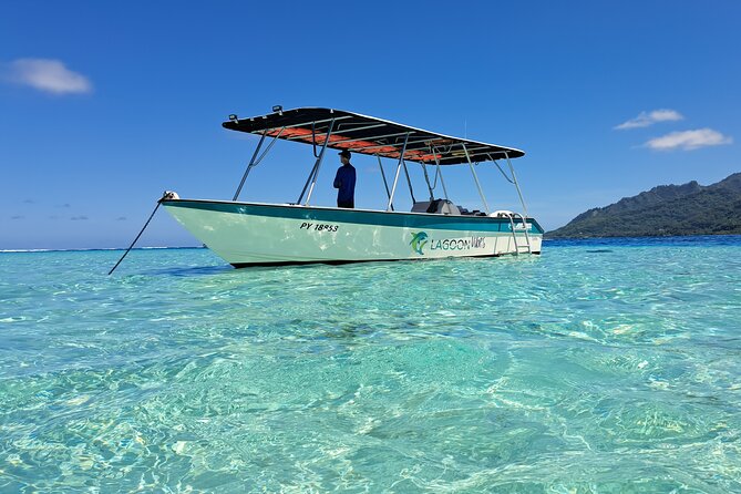 Private Marine Excursion and snorkeling in the lagoon of Moorea - Key points at a glance
