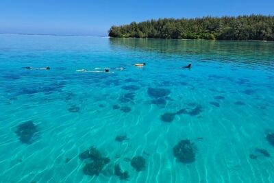 Private Marine Excursion and snorkeling in the lagoon of Moorea