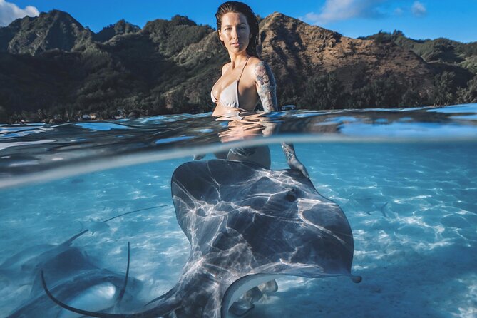 Private Marine Wildlife Adventure with Underwater Photography - Key points at a glance