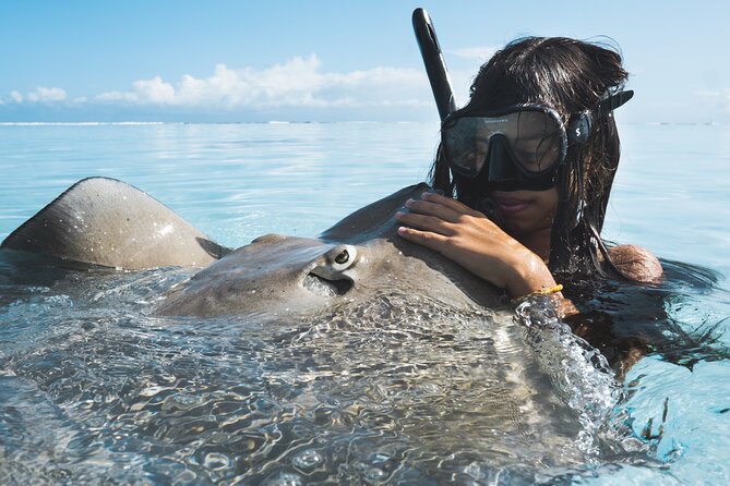Private Marine Wildlife Adventure with Underwater Photography - Three hours from Moorea’s lagoon to the outer reef