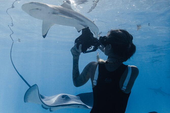 Private Marine Wildlife Adventure with Underwater Photography - Timing, weather, and the seasonal window