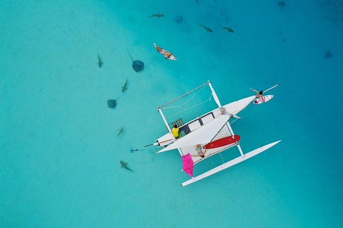 Private Moorea Discovery Half-day Sailing - Sailing between Moorea’s two famous bays