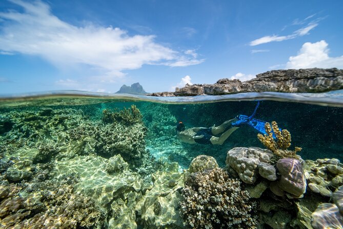 Private Reef Discovery Luxury Dream Day Tour in Bora Bora - What the private luxury format is worth