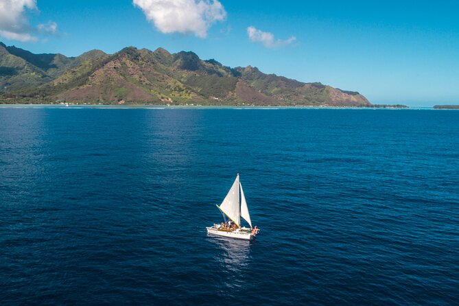 Private sailing adventure - Swimming with rays, blacktip sharks, turtles, and colorful fish