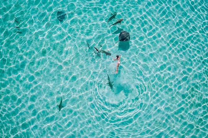 PRIVATE Sunset Tour: Moorea Snorkeling on a Catamaran named Taboo - The sunset finish and the question of timing