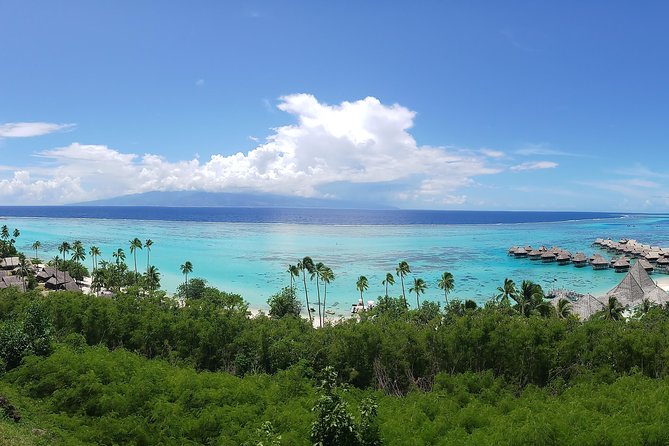 Private Tahiti Circle Island - Waterfalls, Black Sand & Views - The guides shape the day more than the schedule does