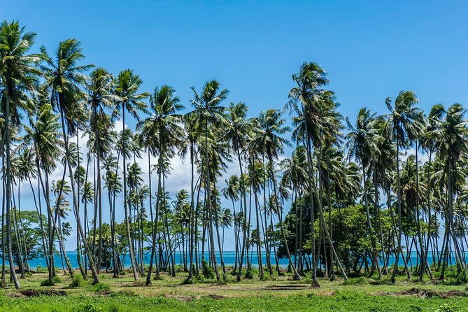 Private Tahiti Circle Island - Waterfalls, Black Sand & Views - Maraa Grottos offer a cool pause by the road