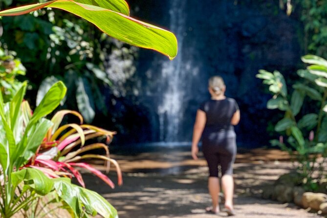 Private TAHITI Half Day Circle Island Tour (Departs 8am or 1pm) - Arahurahu Marae and the meaning of sacred stones