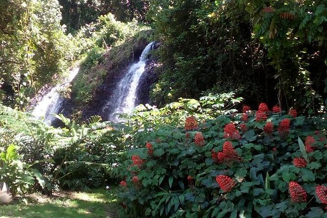 private Tahiti island discovery - Why this private Tahiti tour works well for a short stay