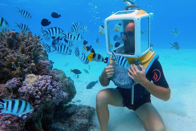 Private Tour: Aqua Safari Scuba Diving - Walking the Lagoon Floor at Three Meters