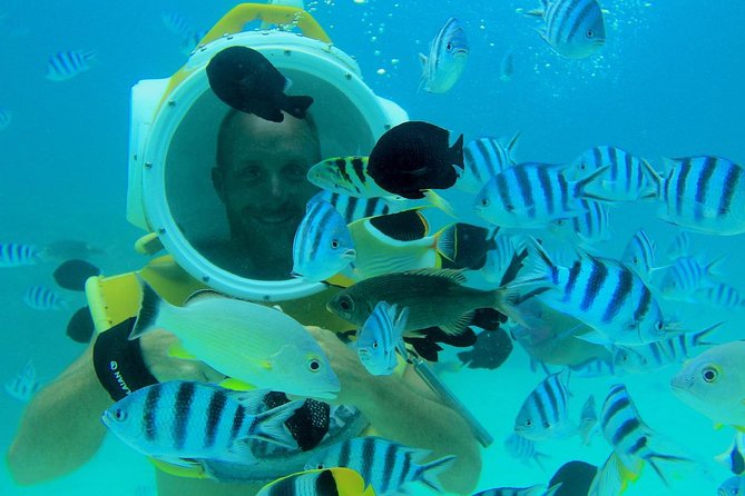 Private Tour: Aqua Safari Scuba Diving - Comfort, Clothing, and Equipment