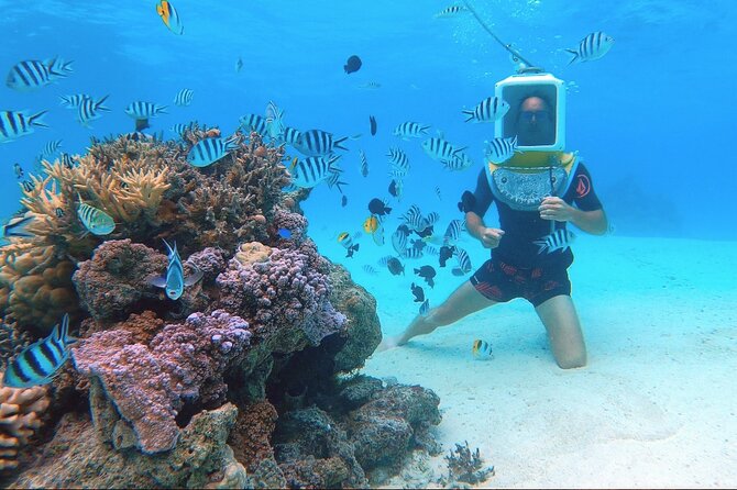Private Tour: Aqua Safari Scuba Diving - Who Will Get the Most From Aqua Safari