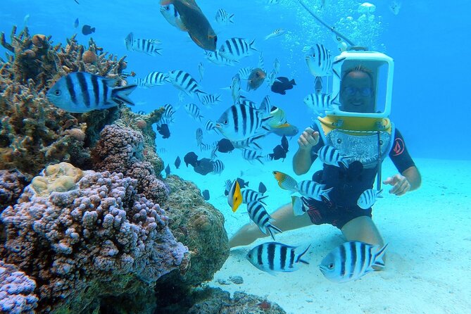 Private Tour: Aqua Safari Scuba Diving - The Value of $765.22 for Two
