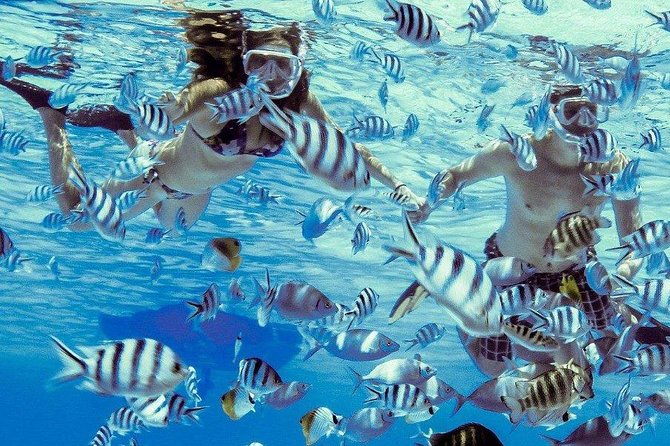 Private Tour: Bora Bora Lagoon Eco Snorkel Cruise - 3hrs or 6hrs - Starting with a private boat on Bora Bora’s lagoon