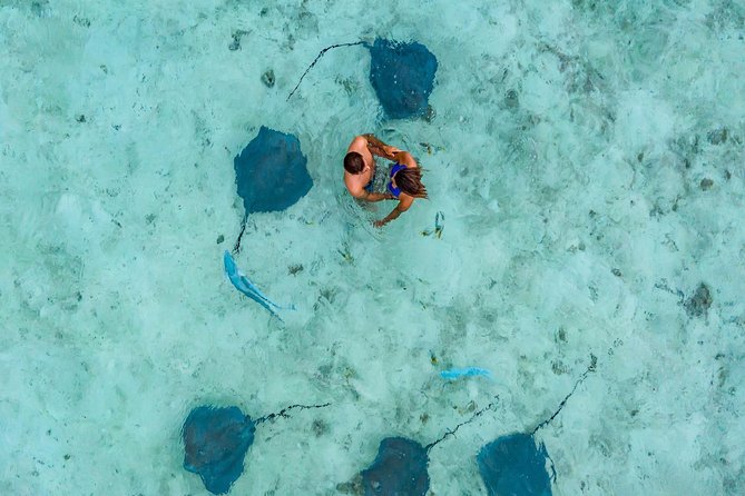Private Tour: Bora Bora Lagoon Eco Snorkel Cruise - 3hrs or 6hrs - Drinks, lunch, and what the price really covers