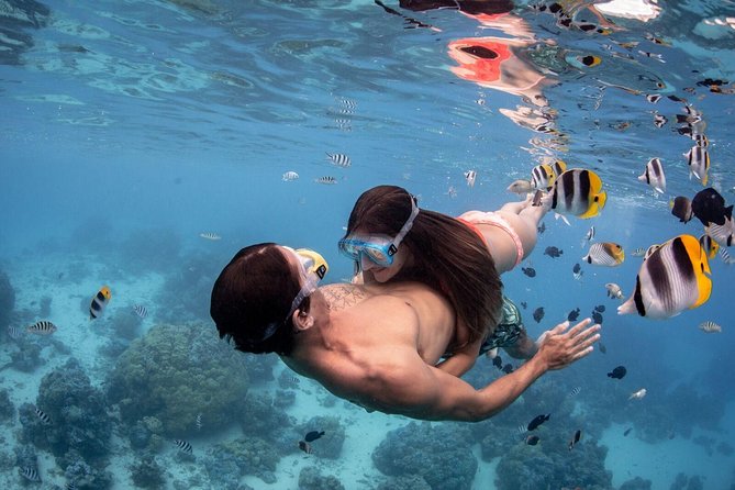 Private Tour: Bora Bora Lagoon Eco Snorkel Cruise - 3hrs or 6hrs - Who will enjoy this Bora Bora snorkel cruise most