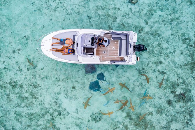 Private Tour: Bora Bora Lagoon Eco Snorkel Cruise - 3hrs or 6hrs - Coral gardens, rays, and sharks without feeding