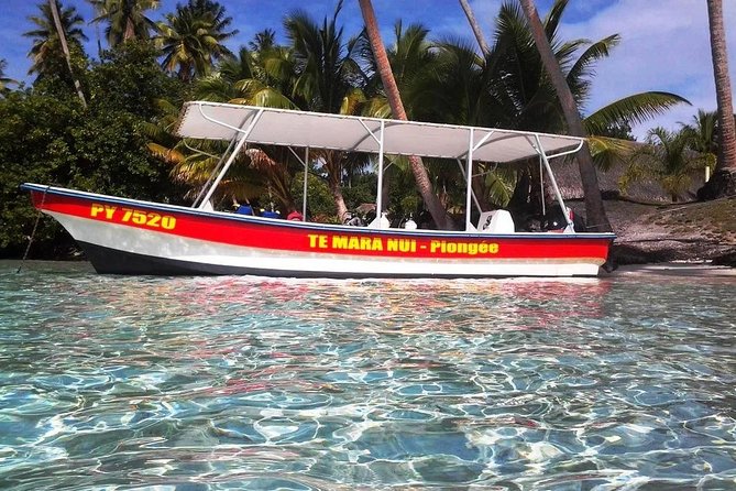 Private tour from Raiatea - 1/2 day excursion to Tahaa or other - A private boat changes the feel of the trip