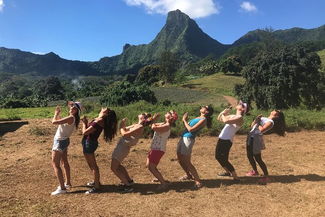 Private Tour Moorea 4WD - Belvedere Pineapple Farm, Magic Mount. - Moorea Tropical Garden and a taste of vanilla