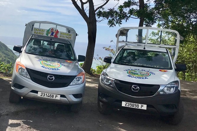 Private Tour Moorea 4WD - Belvedere Pineapple Farm, Magic Mount. - Pineapple fields inside Moorea’s caldera
