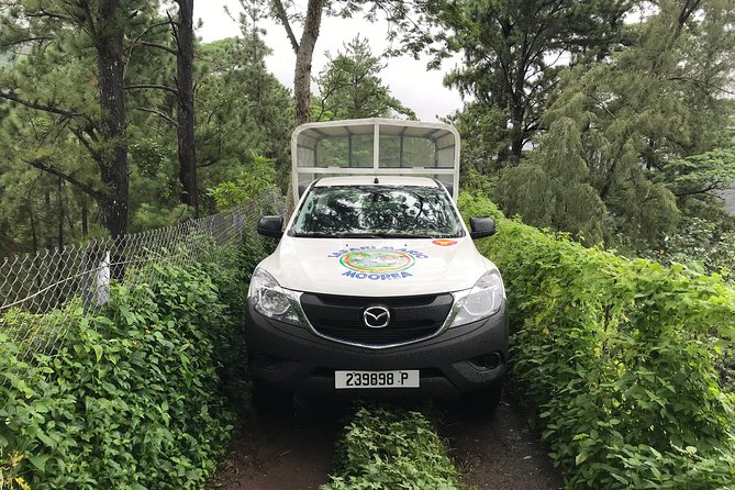 Private Tour Moorea 4WD - Belvedere Pineapple Farm, Magic Mount. - Why a private 4WD can be worth $500