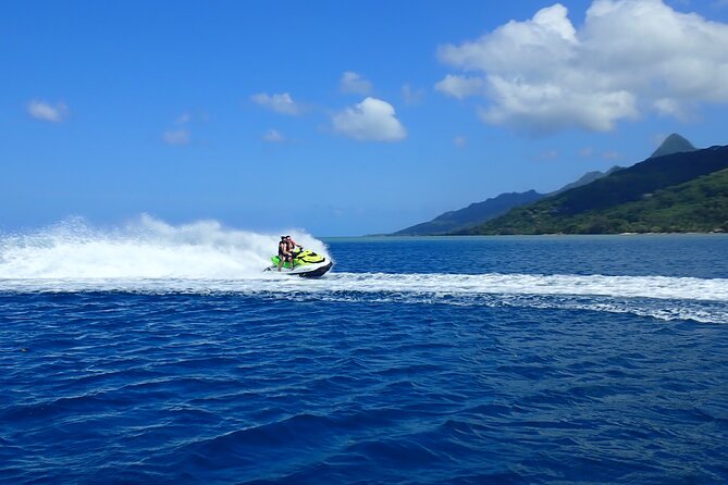 Private tour observing and swimming with humpback whales in Moorea - Is $1,640 good value?