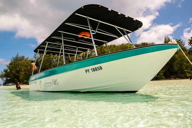 Private tour whale watching and snorkeling in Moorea - Who should book this experience
