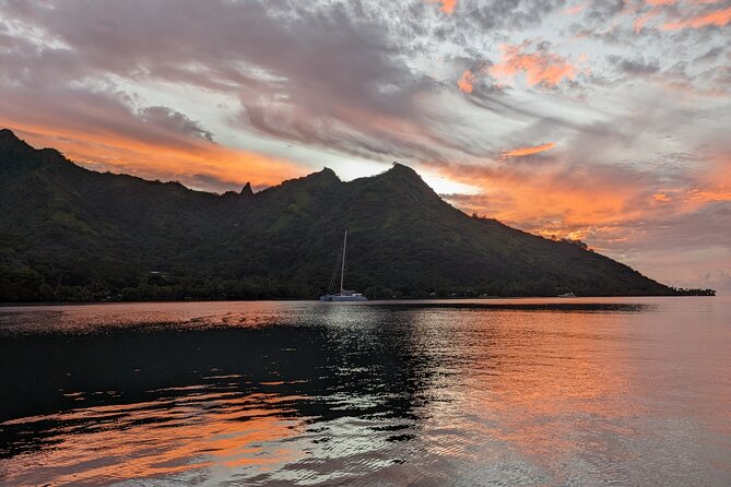 Private Tour Whale Watching Half Day Tour - Why the three to four hours matter