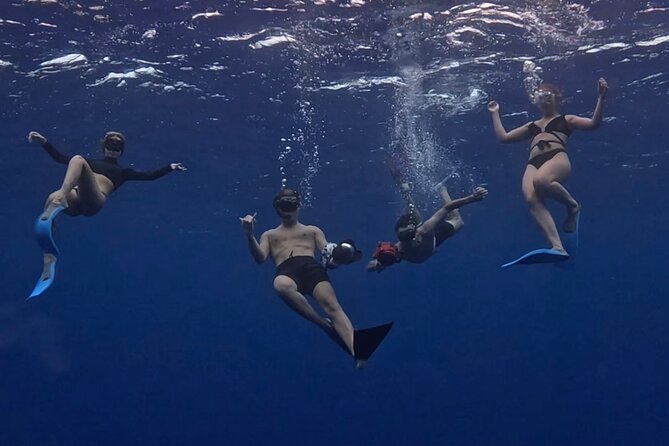Private Whale Watching Adventure in Mo'orea - Choosing between a swim and a boat-side view