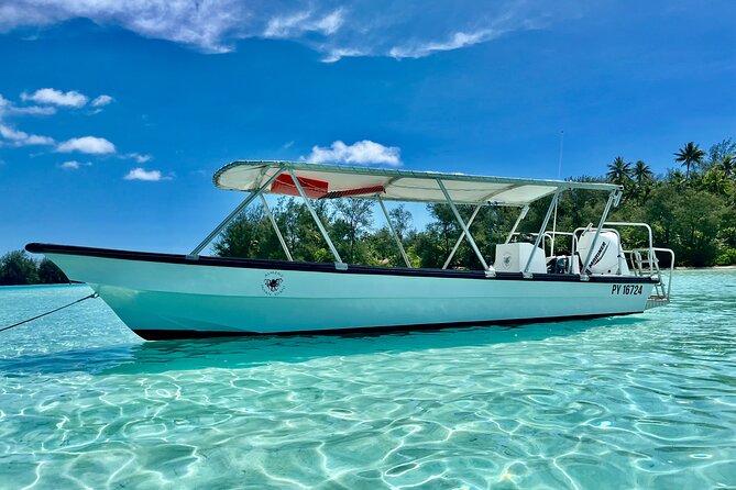 Private Whale Watching Adventure in Mo'orea - The guides role in making the day worthwhile