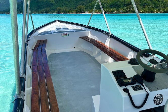 Private Whale Watching Adventure in Mo'orea - Who should book this whale adventure