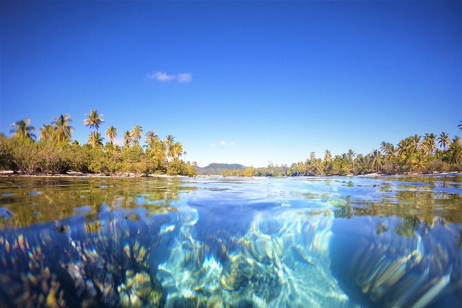 Raiatea-Tahaa Snorkeling in our beautiful Coral Garden - Timing, Price, and Overall Value