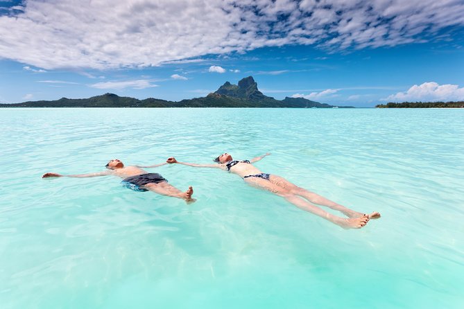 Reef Discovery Half Day Group Signature Tour - Who should book this snorkeling tour?