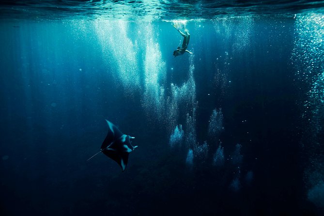 Reef Discovery Half Day Group Signature Tour - The manta ray stop comes first