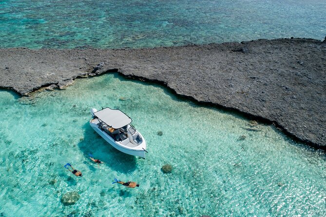Reef Discovery Luxury Private Snorkeling Lagoon Tour - Equipment, towels, snacks, and water