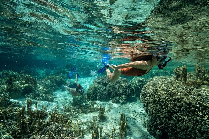 Reef Discovery Luxury Private Snorkeling Lagoon Tour - Good for honeymooners, families, and small groups