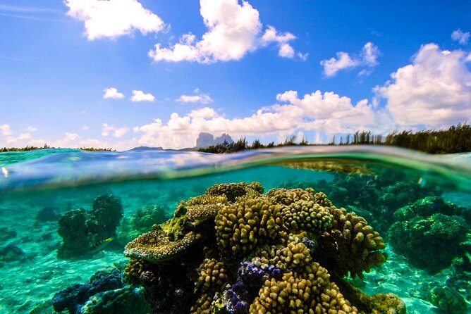 Reef Discovery Private Full Day Lagoon Tour & Water Lunch - Sailing with Mount Otemanu in view