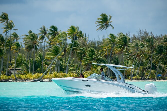 Reef Discovery Private Half Day Lagoon Tour - Key points to know before you book