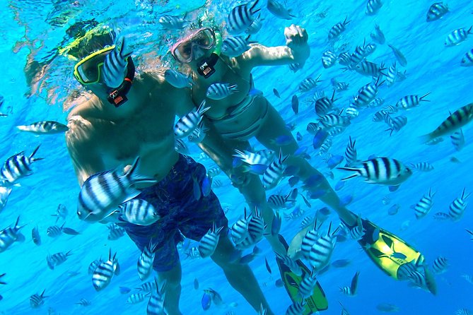 Reef Discovery Private Half Day Lagoon Tour - A private boat changes the feel of the outing