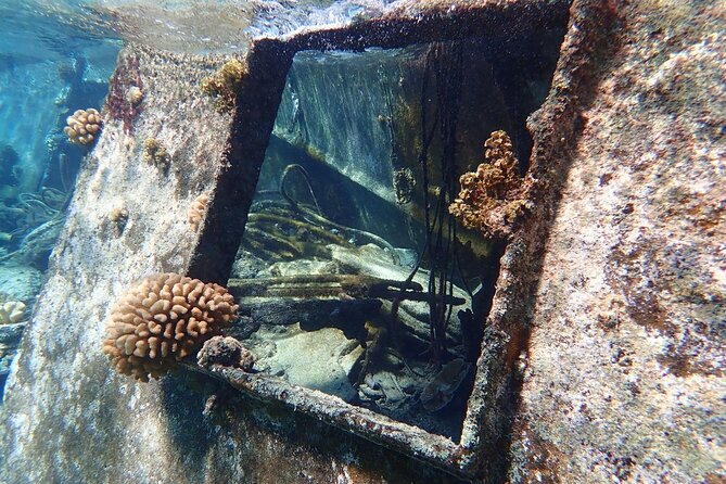 Reef Discovery Private Treasure Hunt - Following clues to the shipwreck