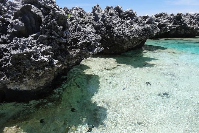 REEF ISLAND | private island | pink sand | natural swimming pools - Tiputa Pass and the chance to see dolphins