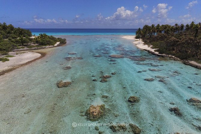 REEF ISLAND | private island | pink sand | natural swimming pools - The Tiputa aquarium snorkeling stop