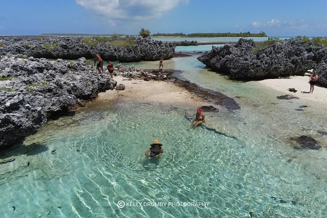 Reef island private tour - The morning transfer and boat ride from Ohotu