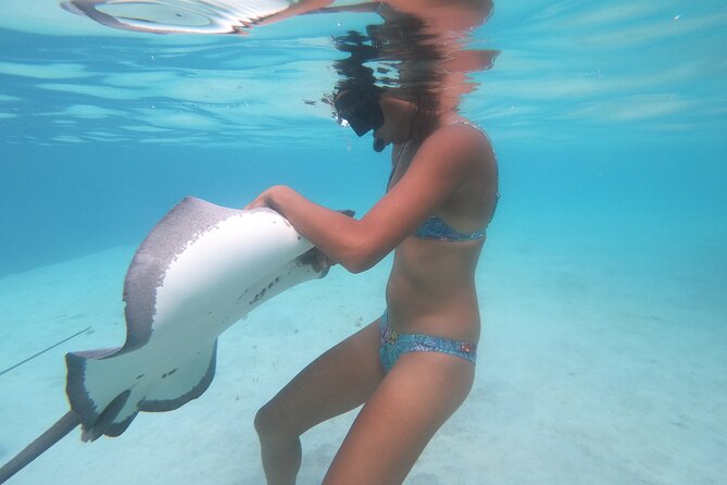 Respectful whale excursion to Tahiti in 4h30 - The whale season and weather risk