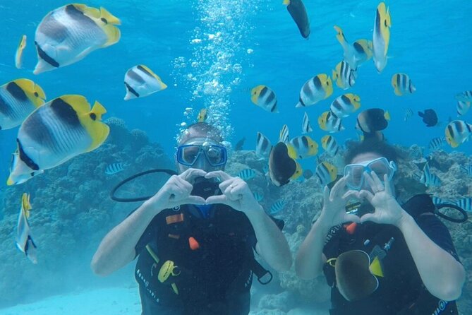 Romantic Dive for beginners in Bora Bora (2 people) with Video - A first underwater session made for two