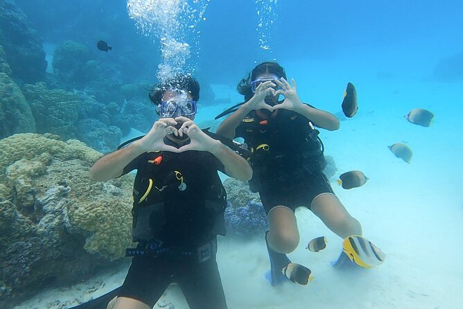 Romantic Dive for beginners in Bora Bora (2 people) with Video - What happens at Matira Beach