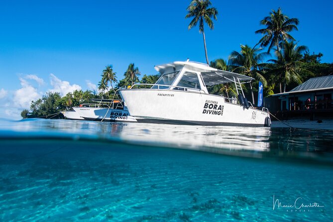 Romantic Dive for beginners in Bora Bora (2 people) with Video - Timing your afternoon in Bora Bora