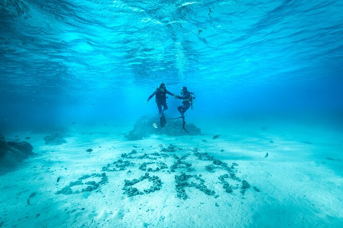 Romantic dive in the lagoon of Bora Bora. Private instructor on a shared boat - Key Points at a Glance